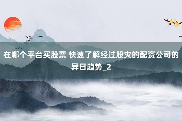 在哪个平台买股票 快速了解经过股灾的配资公司的异日趋势_2